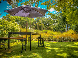 Picknicktische mit Sonnenschirmen an einem sonnigen Tag, umgeben von üppigen grünen Bäumen und Gras.