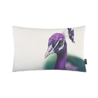 Proflax Kissenhülle Pfau 30x50cm