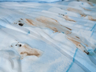 Zo!Home Winter-Bettwäsche Polare -