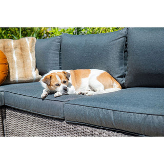 GARDEN IMPRESSIONS Lounge Orangebird grey/black
