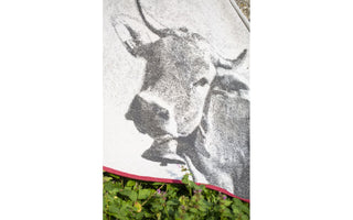 Fussenegger Baumwolldecke Kuh 140x200cm
