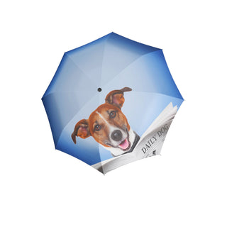 Doppler Stockschirm Modern Art Automatic Daily Dog