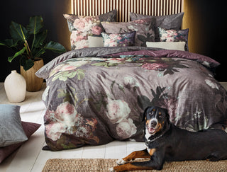 Irisette Winter-Reforncé Bettwäsche Peach 8833-70