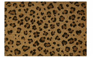 MD-Entree Kokosmatte Freestyle Safari 40x60cm